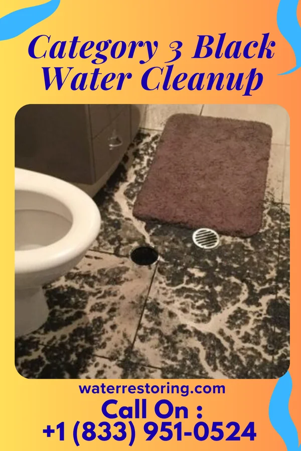 Category 3 Black Water Cleanup in Millerstown, PA