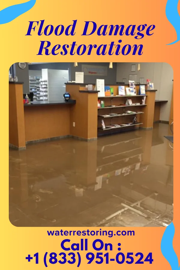 Flood Damage Restoration in Millerstown, PA